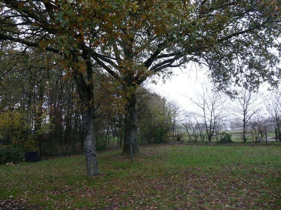 Charmante Maison En Campagne Grand-Fougeray Exterior foto